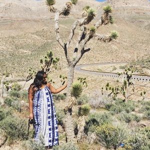 Anthropologie Holding Horses Maxi Dress